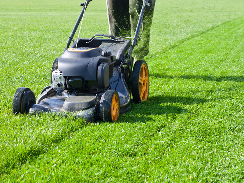 Grass Cutting