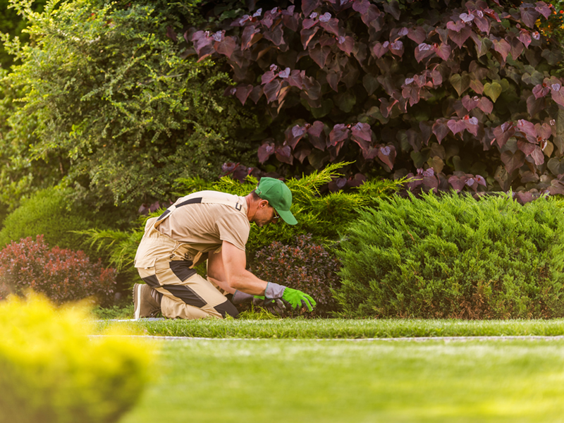 Gardening