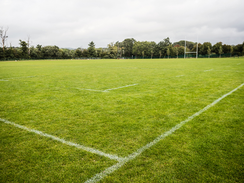 Lines on Natural Grass Fields